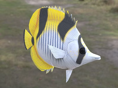Vibrant Tropical Butterfly Fish With Yellow Black Stripes White Body And Pointed Snout 3d model