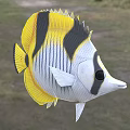 Vibrant Tropical Butterfly Fish With Yellow Black Stripes White Body And Pointed Snout