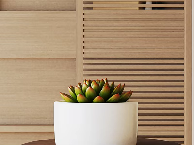 Succulent Bonsai Potted Plant In White Pot With Wooden Louvered Background 3d model