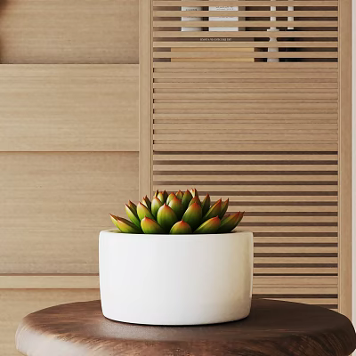 Succulent Bonsai Potted Plant In White Pot With Wooden Louvered Background 3d model