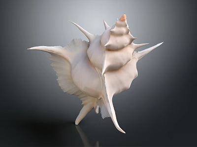 Conch Marine Animal With White Spiral Shell And Spiky Protrusions On Dark Background 3d model