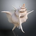 Conch Marine Animal With White Spiral Shell And Spiky Protrusions On Dark Background