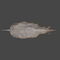 Realistic 3D Rendered Rhinoceros Model With Detailed Texture And Standing Pose