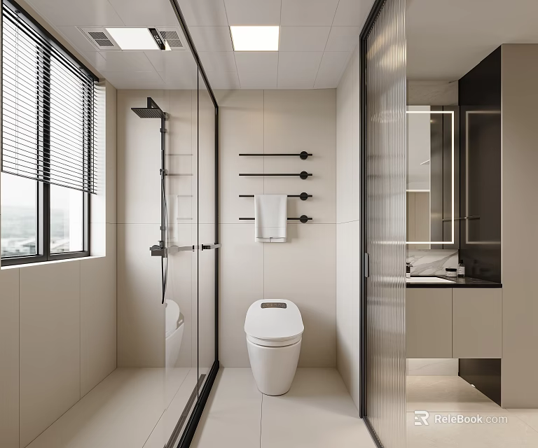 Modern Bathroom Interior Design With Glass Shower Enclosure White Toilet Towel Rack And Vanity Mirror 3d model 