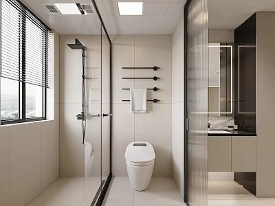Modern Bathroom Interior Design With Glass Shower Enclosure White Toilet Towel Rack And Vanity Mirror 3d model