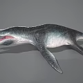 Realistic Aquatic Animal With Long Snout Sharp Teeth Large Fins And Streamlined Body Model