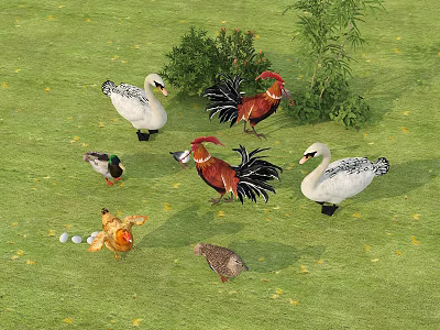 Diverse Reptiles Living In Natural Habitat With Green Plants And Sunlight Exposure 3d model