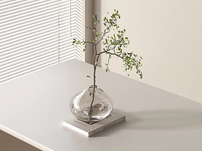 Transparent Glass Vase With Small Green Leaf Plant On White Book Tabletop Near Window Blinds 3d model