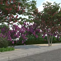 Lush Garden Landscape With Purple Flowering Trees Green Shrubs And Sidewalk Path