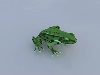 Green Reptile With Black Spots On Light Gray Background In Detailed Close Up Shot 3d model