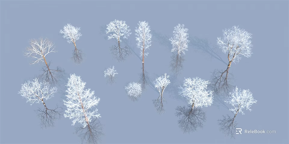Snow Covered Trees With Light Blue Background And Reflections In Winter Scene 3d model