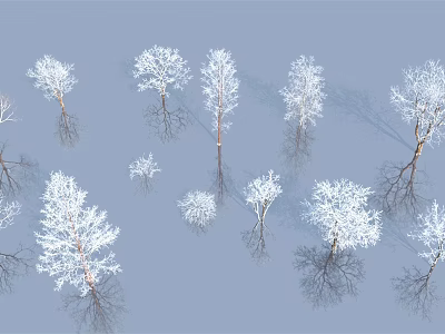 Snow Covered Trees With Light Blue Background And Reflections In Winter Scene 3d model