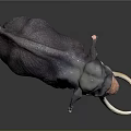 Detailed Dark Elephant With Long White Tusks Standing On Dark Background
