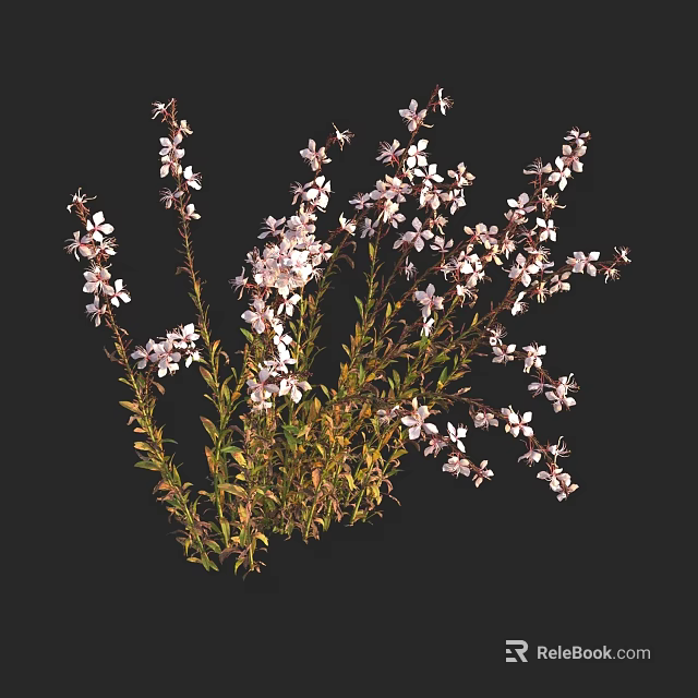 Vibrant Plant Featuring Pink Flowers And Green Stems Leaves Against Black Background 3d model 