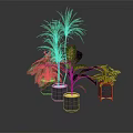 Various Indoor Houseplants With Green Leaves In Modern Pots On Dark Surface