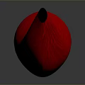 Red Curved Textured Object With Fibrous Surface On Dark Background Reflection 3d model