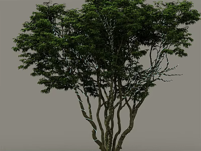 Elegant Decorative Light Tree With Green Leaves And Curved Trunk On Gray Background 3d model