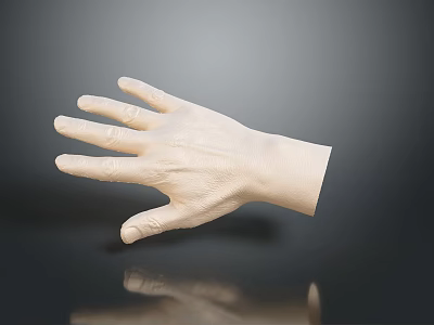 Realistic 3D Human Hand Model With Fine Hair On Dark Reflective Background 3d model