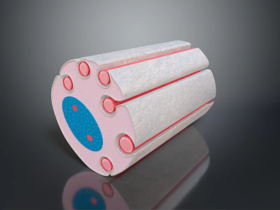 Cylindrical Medical Device Featuring Multi Layer Structure With Red Dots And Blue Center 3d model
