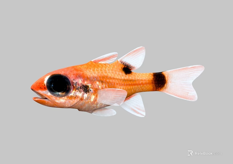Vibrant Orange Aquatic Fish With Large Black Eyes Black Spots White Fins And Tail 3d model 