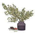 Purple Glass Vase With White Small Flowers Green Branches And Figs On White Tray