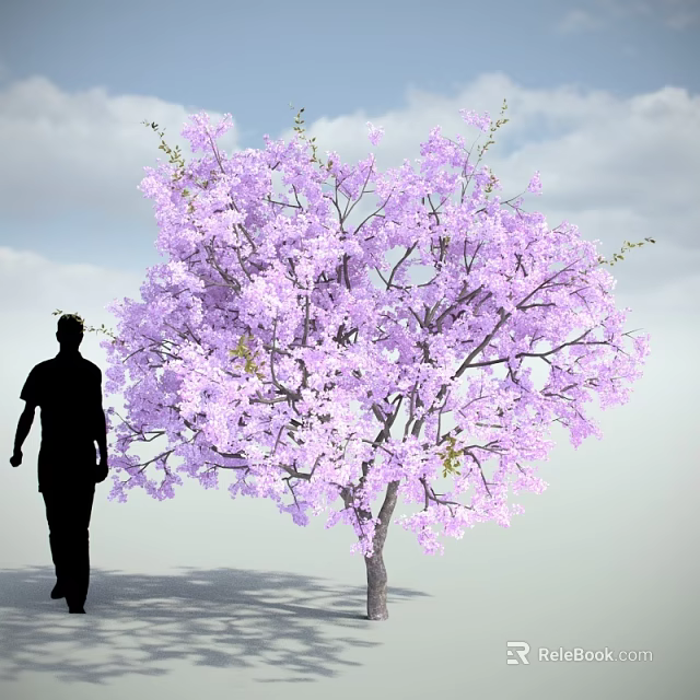 Purple Flowering Tree With Lush Blooms Near Silhouette Of A Person Under Blue Sky 3d model 