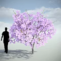 Purple Flowering Tree With Lush Blooms Near Silhouette Of A Person Under Blue Sky