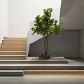 Modern Light Colored Stairs With Green Tree And Ambient Lighting In Minimalist Interior