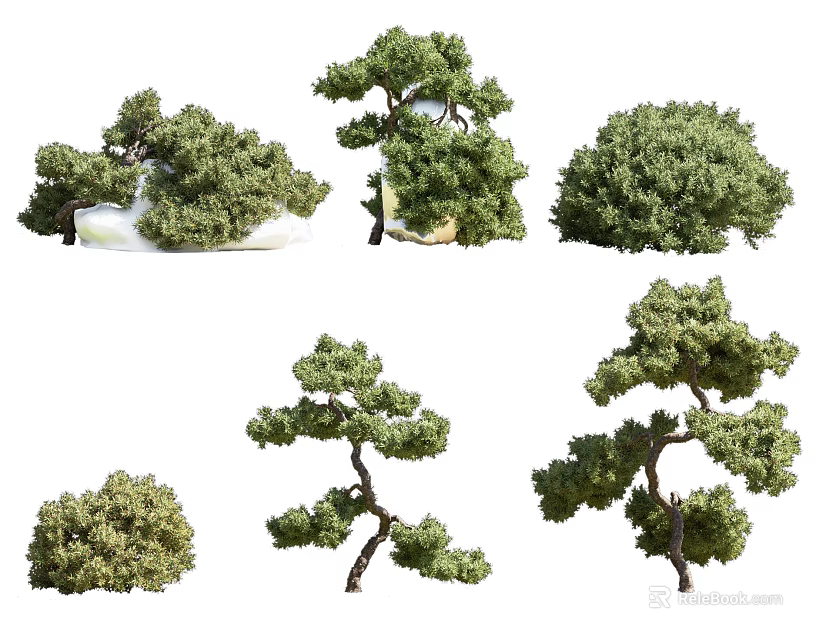 Different Shaped Arbor Trees With Green Foliage And Distinctive Branch Structures 3d model