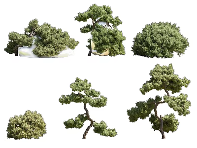 Different Shaped Arbor Trees With Green Foliage And Distinctive Branch Structures 3d model