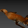Realistic 3D Model of a Brown Fox Lying Down on Gray Background