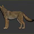 Realistic Coyote 3D Model Standing With Brown Fur Pointed Ears And Bushy Tail