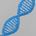Innovative Medical Devices for DNA Double Helix Study with Colorful Molecular Structure in Genetic Diagnostics