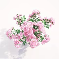 Transparent Glass Vase With Lush Pink Roses And Green Leaves On White Background