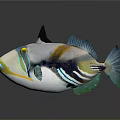 Colorful Tropical Fish with Yellow Blue White and Black Patterns on Dark Background with Reflection