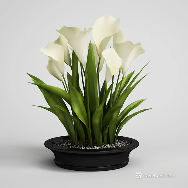 White Calla Lily Bonsai Potted Plant With Green Leaves And Black Pot Pebbles 3d model 