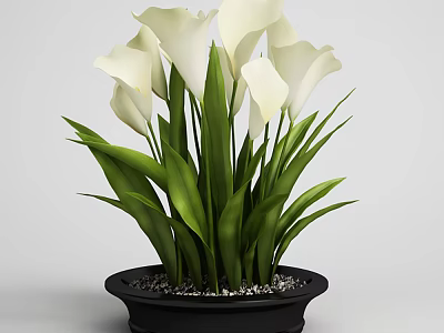 White Calla Lily Bonsai Potted Plant With Green Leaves And Black Pot Pebbles 3d model