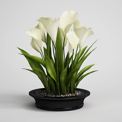 Modern Potted Vase 3d model Modern Potted Vase 3d model