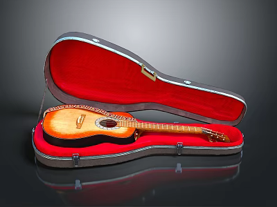 Musical Instruments and Art Supplies Storage Case with Open Red Lining Holding Wooden Guitar 3d model