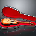 Musical Instruments and Art Supplies Storage Case with Open Red Lining Holding Wooden Guitar