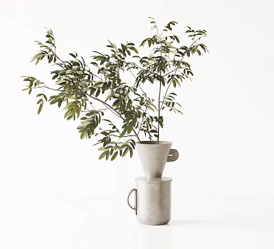 Decorative Double Layered Vase With Handle Holding Indoor Green Leaf Plant 3d model