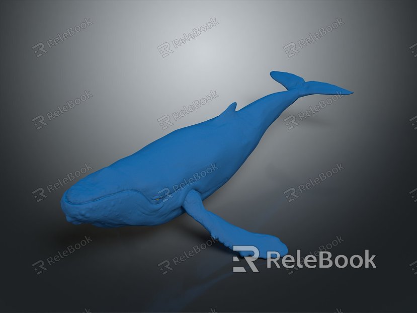 whale cartoon whale mammal marine mammal marine animal fish freshwater fish marine fish model