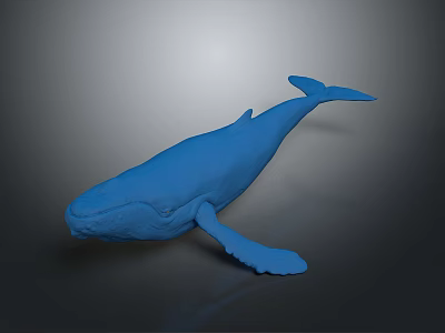 Detailed Blue Whale 3D Model Rendering with Smooth Surface on Gray Background 3d model
