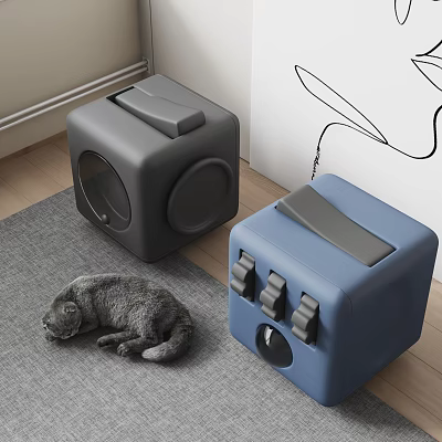 Gray Cat Resting Near Two Cube Shaped Gray And Blue Cat Beds 3d model