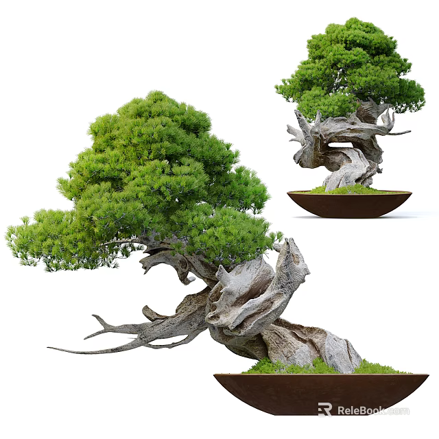 Lush Green Bonsai Tree with Twisted Trunk and Dense Foliage in Brown Ceramic Pot 3d model 