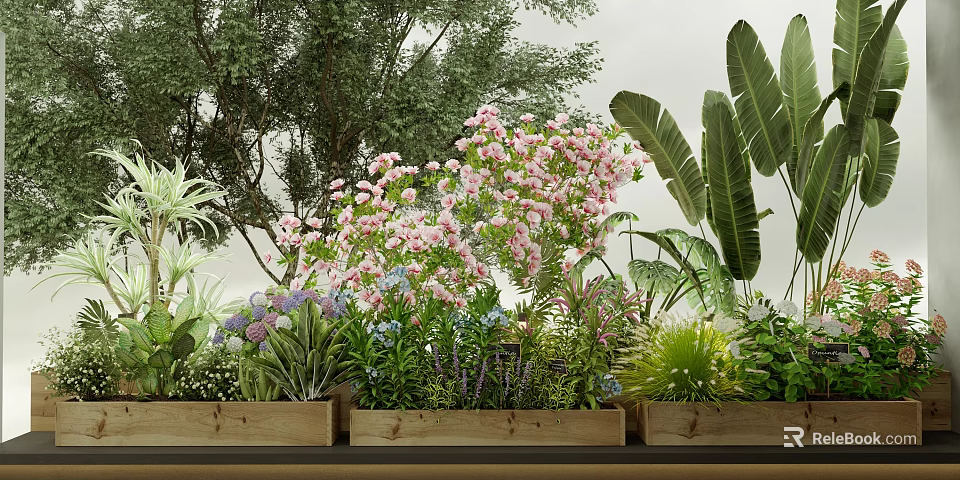 Bonsai Potted Plants with Pink Flowers Green Leaves in Wooden Pots and Garden Trees 3d model 