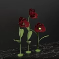 Beautiful Photo Checkin Spot Featuring Red Flowers Green Stems Leaves Black Background and Marble Countertop