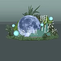 Decorative Display Featuring Blue Moon Green Plants Bright Lights And Hope Lane