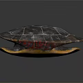 Turtle Displaying Detailed Shell With Dark Surface White Patterns And Yellow Underside