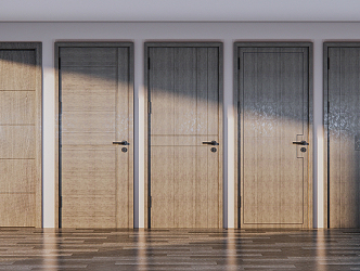 Modern door single door 3d model